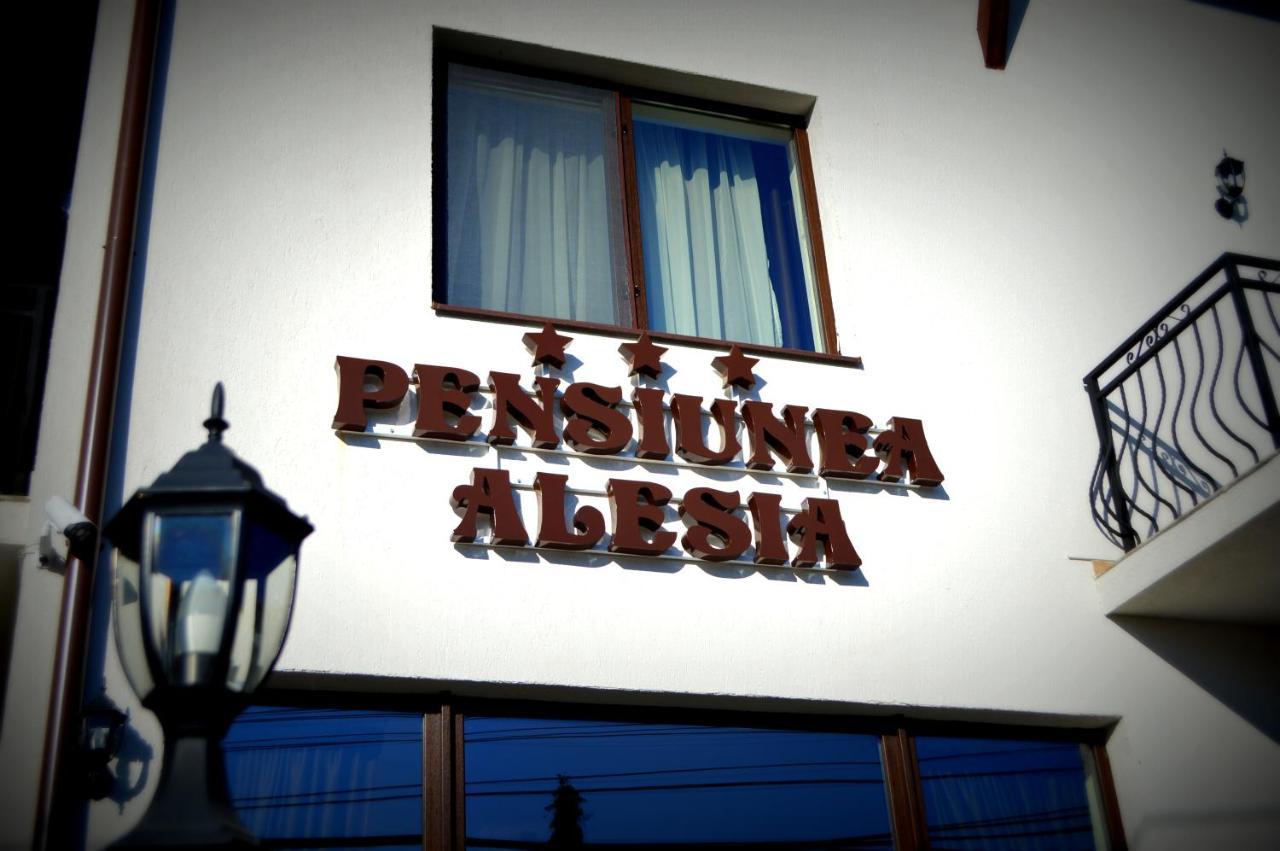 Pensiunea Alesia Pucioasa Exterior photo